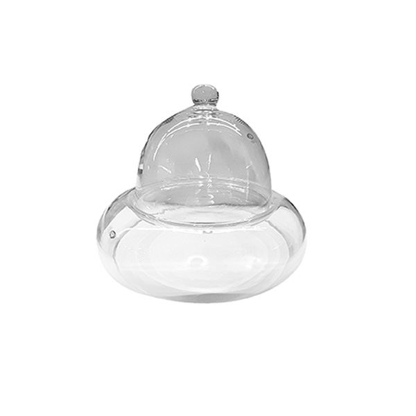 GLASSES WITH LID