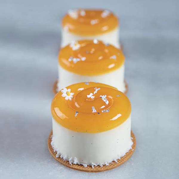 SILICONE NAUTILUS PX4374