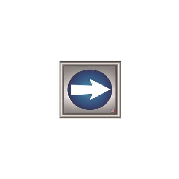 ΣΗΜΑ "ΒΕΛΟΣ ΚΑΤΕΥΘΥΝΣΗΣ"