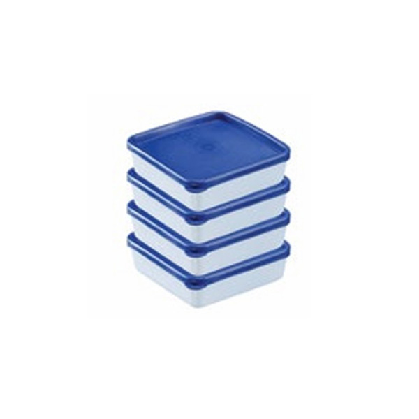 CONTAINER WITH LID SET OF 4 PCS.